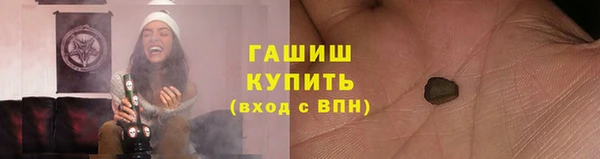 стафф Михайловск