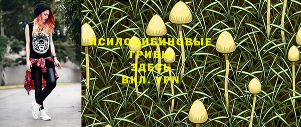 спиды Алагир