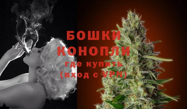 стафф Михайловск