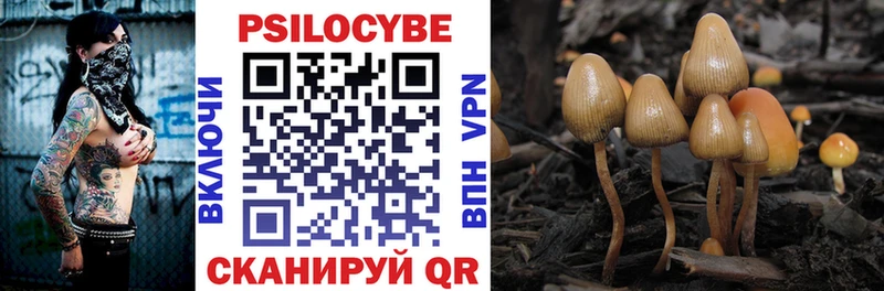 где купить наркоту  Иваново  гидра как зайти  Галлюциногенные грибы MAGIC MUSHROOMS 